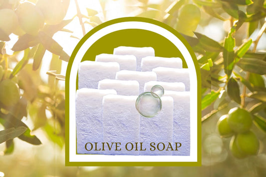 Organic Olive Oil Soap Bar 12ct